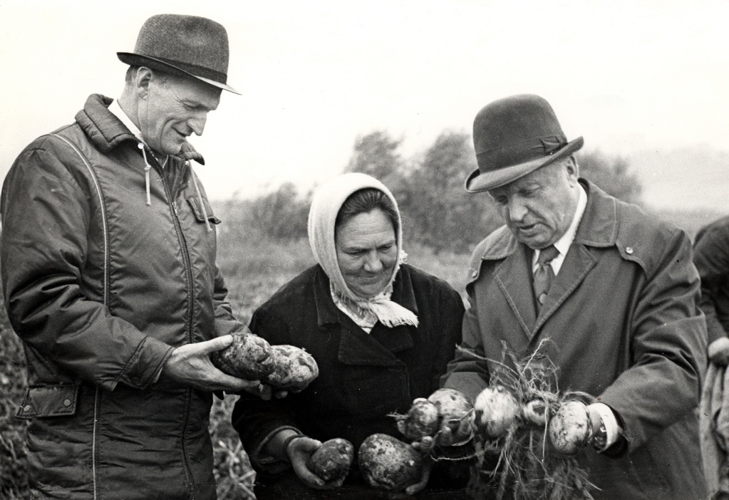 В.Я.Мамров и В.Ф.Исаев на картофельном поле